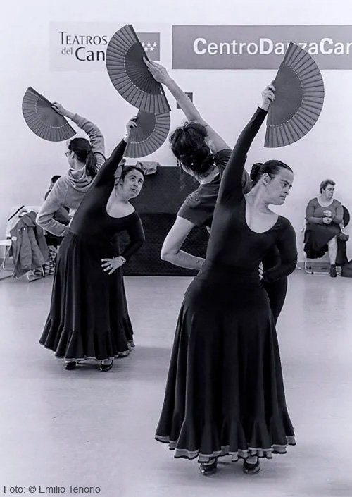 Actividades de La Compañia